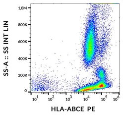 Invitrogen HLA-ABCE Monoclonal Antibody (TP25.99SF), PE 100 &mu;g; PE:Antibodies,