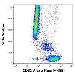 Invitrogen CD81 Monoclonal Antibody (M38), Alexa Fluor 488 100 Tests; Alexa