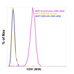 Invitrogen CD81 Monoclonal Antibody (M38), Alexa Fluor 488 100 Tests; Alexa