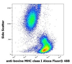 Invitrogen MHC Class I Monoclonal Antibody (IVA26), Alexa Fluor 488 100