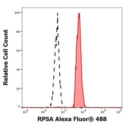 Invitrogen RPSA Monoclonal Antibody (RP-01), Alexa Fluor 488 100 &mu;g;