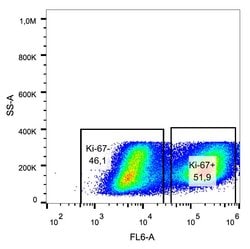 Invitrogen Ki-67 Monoclonal Antibody (Ki-67), Alexa Fluor 647 100 Tests;