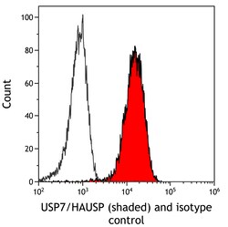 Invitrogen USP7 Recombinant Rabbit Monoclonal Antibody (BLR072G) 100 &mu;L | Buy Online | Invitrogen&trade; | Fisher Scientific