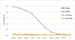 Invitrogen Helicobacter pylori urease Recombinant Rabbit Monoclonal Antibody