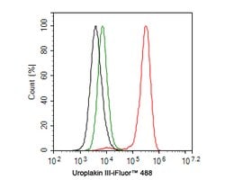 Invitrogen UPK3A Recombinant Rabbit Monoclonal Antibody (PD00-09) 100 &mu;L;