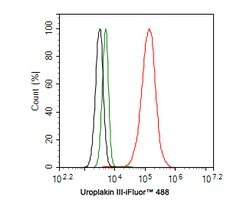 Invitrogen UPK3A Recombinant Rabbit Monoclonal Antibody (PD00-09) 100 &mu;L;