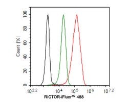 Invitrogen RICTOR Recombinant Rabbit Monoclonal Antibody (1A5) 100 &mu;L;