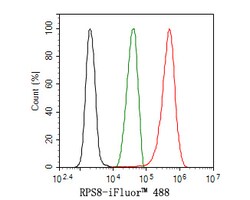 Invitrogen RPS8 Recombinant Rabbit Monoclonal Antibody (JE65-57) 100 &mu;L;