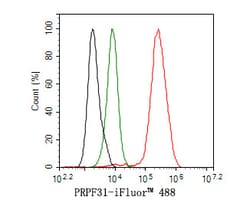Invitrogen PRPF31 Recombinant Rabbit Monoclonal Antibody (JE64-82) 100 &mu;L | Buy Online | Invitrogen&trade; | Fisher Scientific