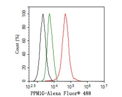 Invitrogen PPM1G Recombinant Rabbit Monoclonal Antibody (JE64-91) 100 &mu;L;