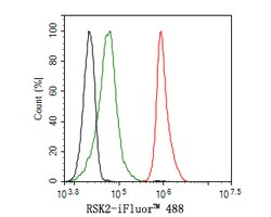 Invitrogen RSK2 Recombinant Rabbit Monoclonal Antibody (JE63-19) 100 &mu;L;