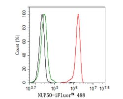 Invitrogen NUP50 Recombinant Rabbit Monoclonal Antibody (JE63-92) 100 &mu;L | Buy Online | Invitrogen&trade; | Fisher Scientific