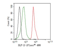 Invitrogen STOML2 Recombinant Rabbit Monoclonal Antibody (JE63-15) 100