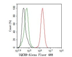 Invitrogen UQCRH Recombinant Rabbit Monoclonal Antibody (JE62-25) 100 &mu;L | Buy Online | Invitrogen&trade; | Fisher Scientific
