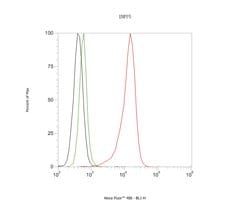 Invitrogen ENPP5 Recombinant Rabbit Monoclonal Antibody (JE62-55) 100 &mu;L;