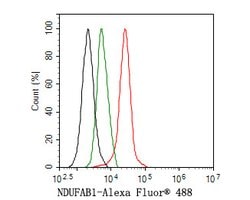 Invitrogen NDUFAB1 Recombinant Rabbit Monoclonal Antibody (JE65-76) 100