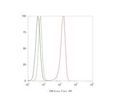 Invitrogen CHM Recombinant Rabbit Monoclonal Antibody (JE61-83) 100 &mu;L;