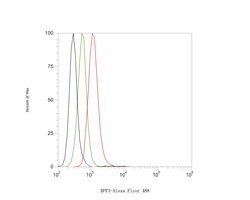 Invitrogen DPP3 Recombinant Rabbit Monoclonal Antibody (JE61-30) 100 &mu;L;