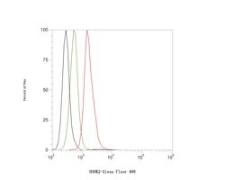 Invitrogen HOOK2 Recombinant Rabbit Monoclonal Antibody (JE61-22) 100 &mu;L;