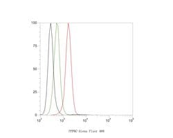 Invitrogen PPP6C Recombinant Rabbit Monoclonal Antibody (JE61-21) 100 &mu;L;
