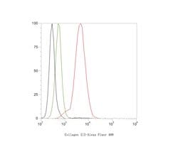 Invitrogen Collagen III Recombinant Rabbit Monoclonal Antibody (JE60-79)