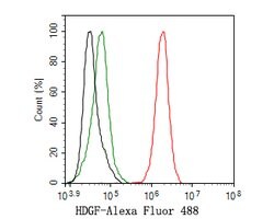 Invitrogen HDGF Recombinant Rabbit Monoclonal Antibody (JE56-90) 100 &mu;L;