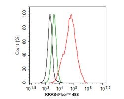 Invitrogen K-Ras Monoclonal Antibody (A8E5) 100 &mu;L; Unconjugated:Antibodies,