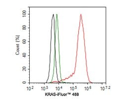 Invitrogen K-Ras Monoclonal Antibody (A8E5) 100 &mu;L; Unconjugated:Antibodies,