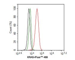 Invitrogen K-Ras Monoclonal Antibody (A8E4) 100 &mu;L; Unconjugated:Antibodies,