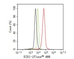 Invitrogen MAPKAP1 Monoclonal Antibody (A6G10) 100 &mu;L; Unconjugated:Antibodies,