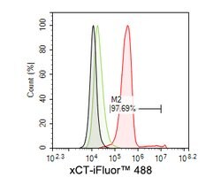 Invitrogen SLC7A11 Monoclonal Antibody (A7C5) 100 &mu;L; Unconjugated:Antibodies,