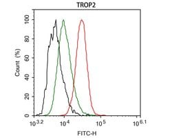 Invitrogen TROP2 Monoclonal Antibody (A5E4) 100 &mu;L; Unconjugated:Antibodies,