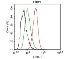 Invitrogen TROP2 Monoclonal Antibody (A5E5) 100 &mu;L; Unconjugated:Antibodies,