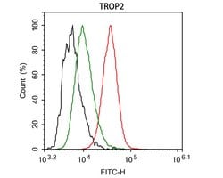 Invitrogen TROP2 Monoclonal Antibody (A5E2) 100 &mu;L; Unconjugated:Antibodies,
