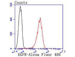 Invitrogen EGFR Recombinant Rabbit Monoclonal Antibody (SP00-86) 100 &mu;L;