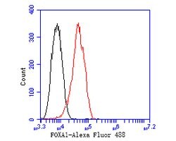 Invitrogen FOXA1 Monoclonal Antibody (A2E8) 100 &mu;L | Buy Online | Invitrogen&trade; | Fisher Scientific