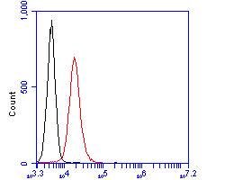 Invitrogen GATA3 Monoclonal Antibody (A3G3) 100 &mu;L; Unconjugated:Antibodies,