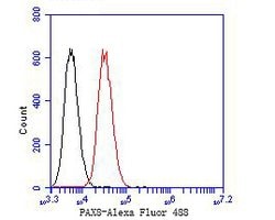 Invitrogen PAX8 Monoclonal Antibody (6G1) 100 &mu;L; Unconjugated:Antibodies,