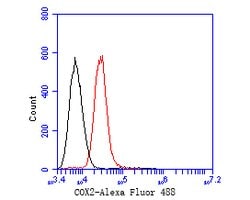 Invitrogen COX2 Monoclonal Antibody (A3F7) 100 &mu;L; Unconjugated:Antibodies,