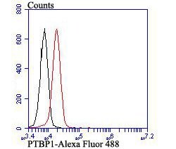 Invitrogen PTBP1 Monoclonal Antibody (9A1) 100 &mu;L; Unconjugated:Antibodies,