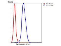 Invitrogen beta Tubulin Monoclonal Antibody (1-B11) 100 &mu;L; Unconjugated:Antibodies,