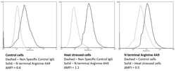 Invitrogen N-terminal Arginylation Monoclonal Antibody (4A9), PE 100 &mu;g;