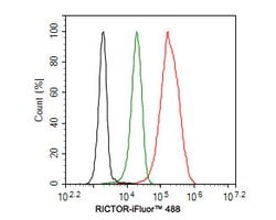 Invitrogen RICTOR Recombinant Rabbit Monoclonal Antibody (1D5) 100 &mu;L;