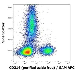 Invitrogen NKG2D Monoclonal Antibody (1D11) 100 &mu;g; Unconjugated:Antibodies,