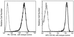 Invitrogen CD146 Recombinant Rabbit Monoclonal Antibody (044), APC 100