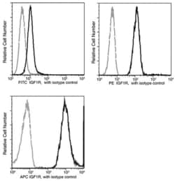 Invitrogen IGF1R (CD221) Recombinant Rabbit Monoclonal Antibody (012), APC 100 Tests | Buy Online | Invitrogen&trade; | Fisher Scientific