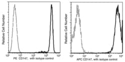 Invitrogen CD147 Recombinant Rabbit Monoclonal Antibody (125), APC 100