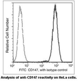 Invitrogen CD147 Recombinant Rabbit Monoclonal Antibody (125), FITC 100