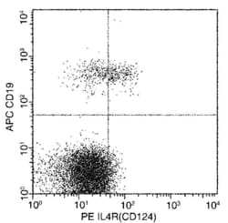 Invitrogen IL4R Recombinant Rabbit Monoclonal Antibody (209), PE 100 Tests;