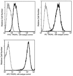 Invitrogen TROP2 Recombinant Rabbit Monoclonal Antibody (001), APC 100